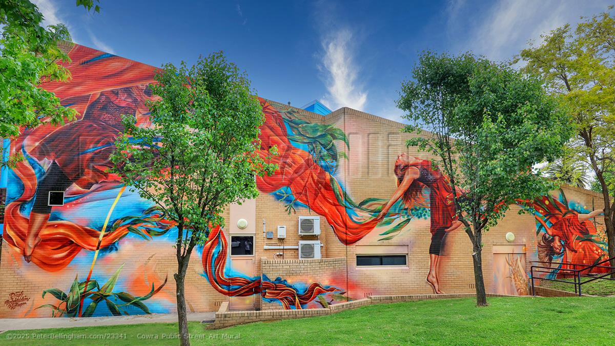 Peter Bellingham Photography Cowra Public Street Art Mural